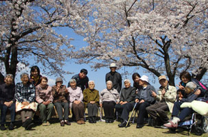 特別養護老人ホーム とよなか荘 年間行事 お花見　桜満開♪